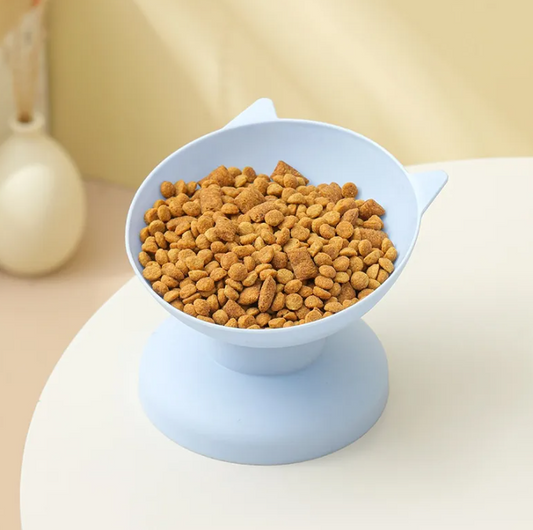 Feline Feast Bowl