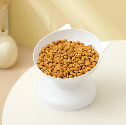 Feline Feast Bowl