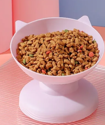 Feline Feast Bowl