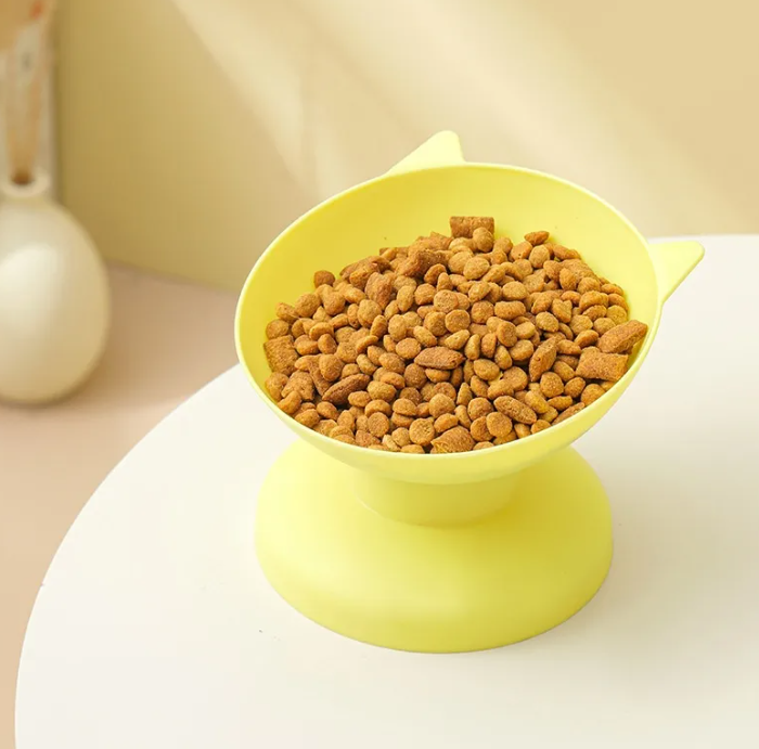 Feline Feast Bowl