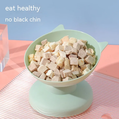 Feline Feast Bowl